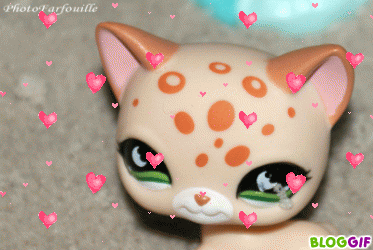 petshops-gif-anime-petshop-coeur-photofarfouille