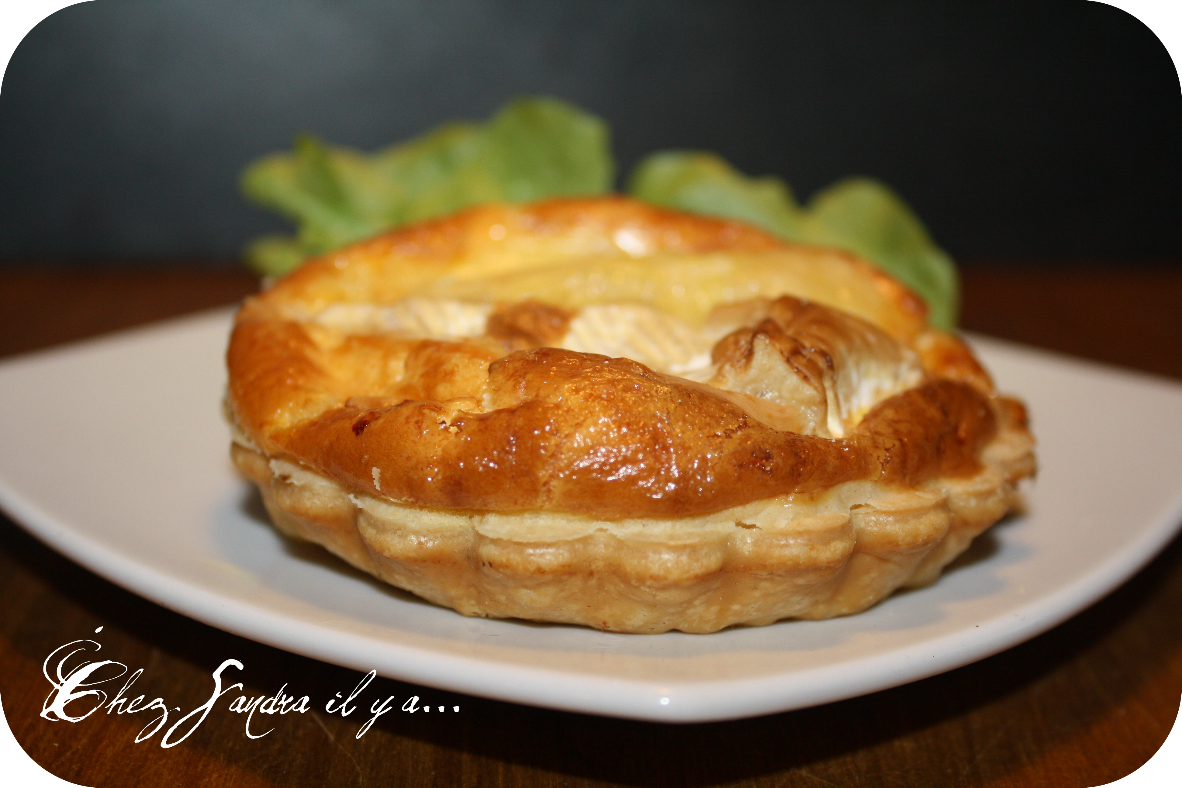 http://ddata.over-blog.com/1/36/28/71/tarte-sale/tarte-au-brie--4-.png