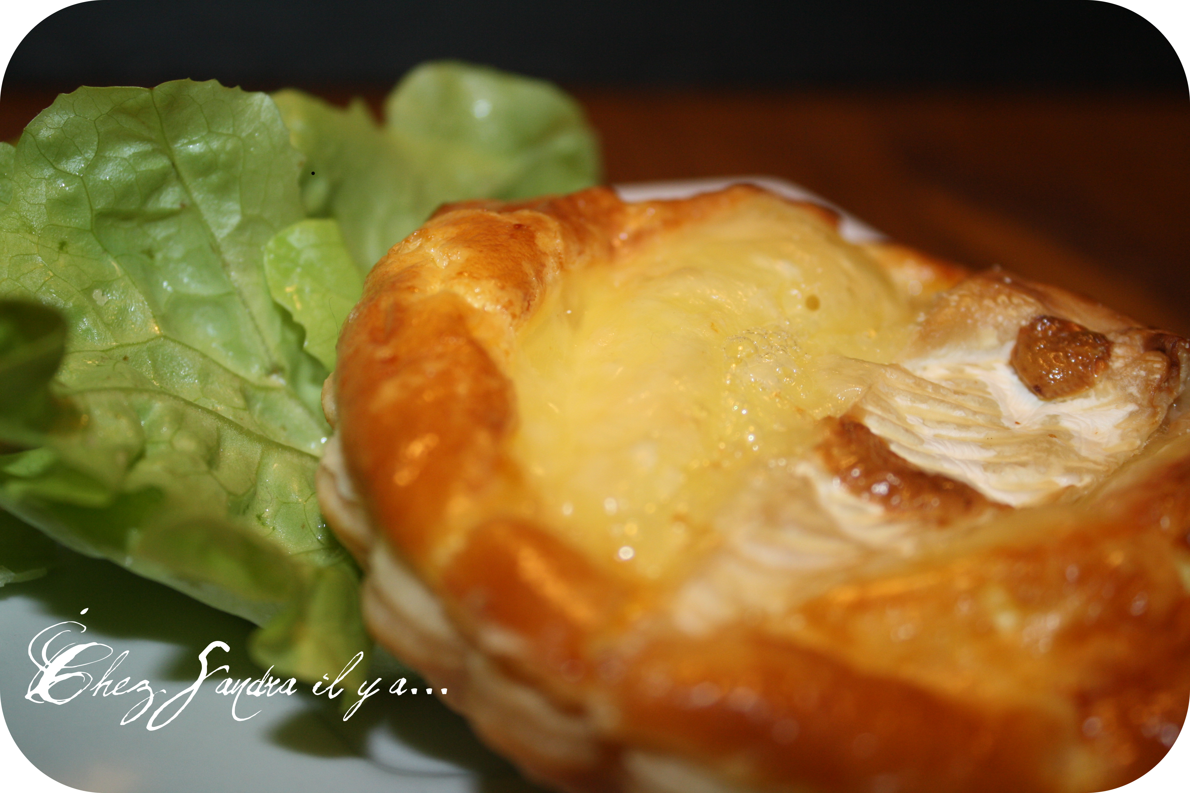 http://ddata.over-blog.com/1/36/28/71/tarte-sale/tarte-au-brie--5-.png