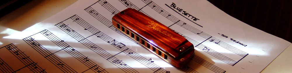 Harmonica Brodur signature SebCharlier - Page 2 DSCF3223-23b