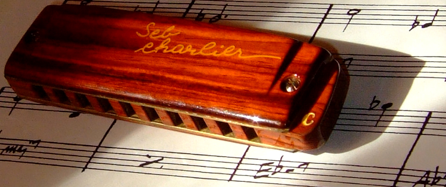 Harmonica Brodur signature SebCharlier - Page 2 DSCF3229-29