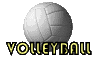 gifs volley