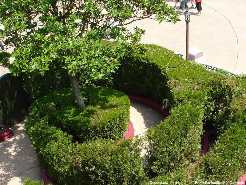 Disneyland http://ddata.over-blog.com/xxxyyy/0/00/45/64/800x600/800x600-022.jpg