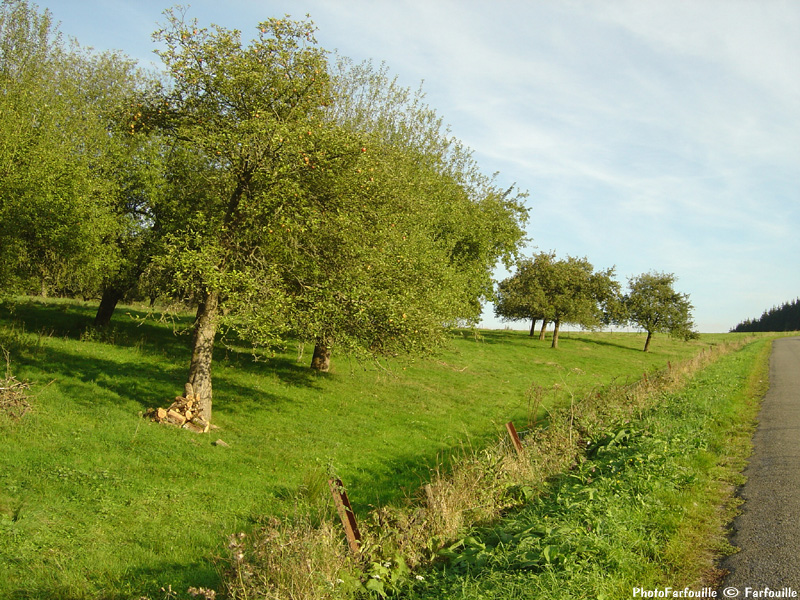 Campagne photo: campagne