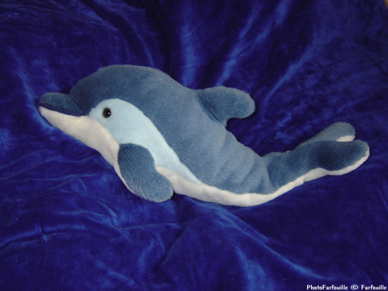 Dauphin photo : dauphin en peluche