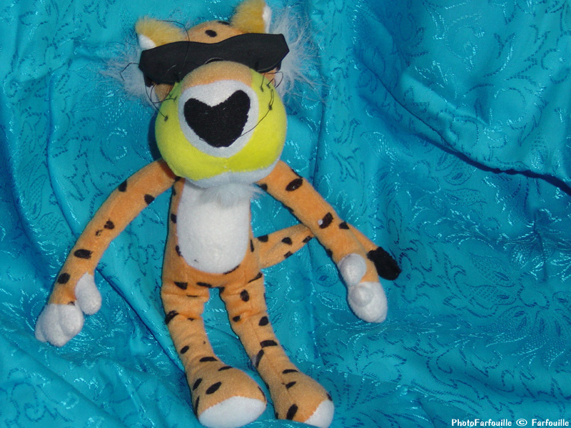 Tigre photo