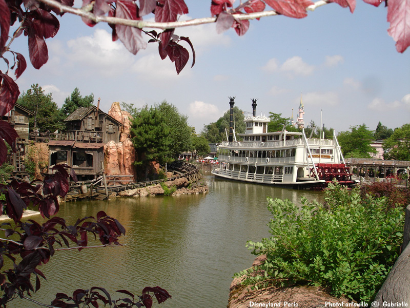 Disneyland Photo 800x600