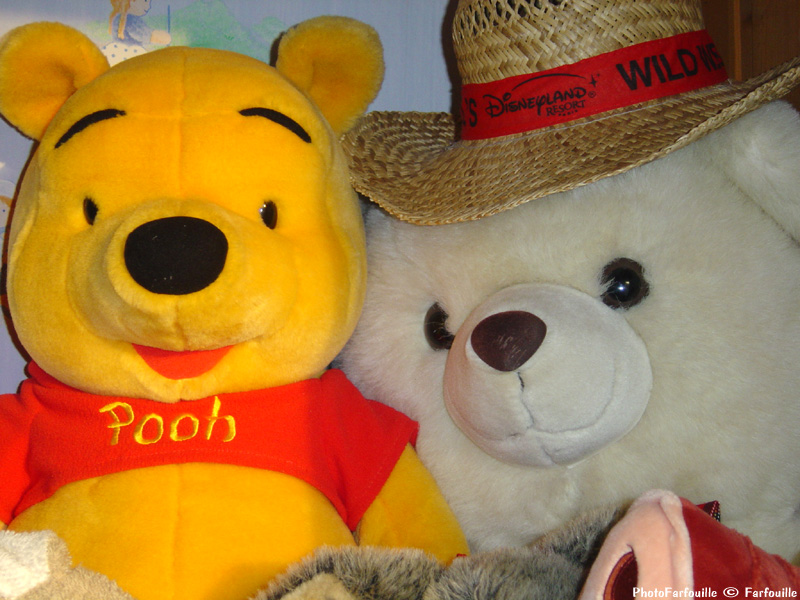Peluches http://ddata.over-blog.com/xxxyyy/0/00/45/64/800x600/800x600-078.jpg