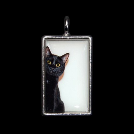 http://ddata.over-blog.com/xxxyyy/0/31/24/18/animaux/customrectanglephoto.jpg
