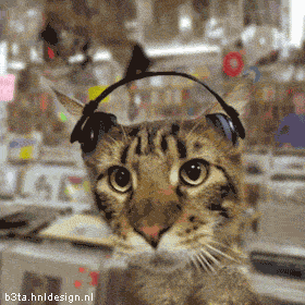 http://ddata.over-blog.com/xxxyyy/0/31/24/18/d--co/1023157297-l.gif