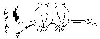 http://ddata.over-blog.com/xxxyyy/0/31/24/18/divers/hibou-020.gif