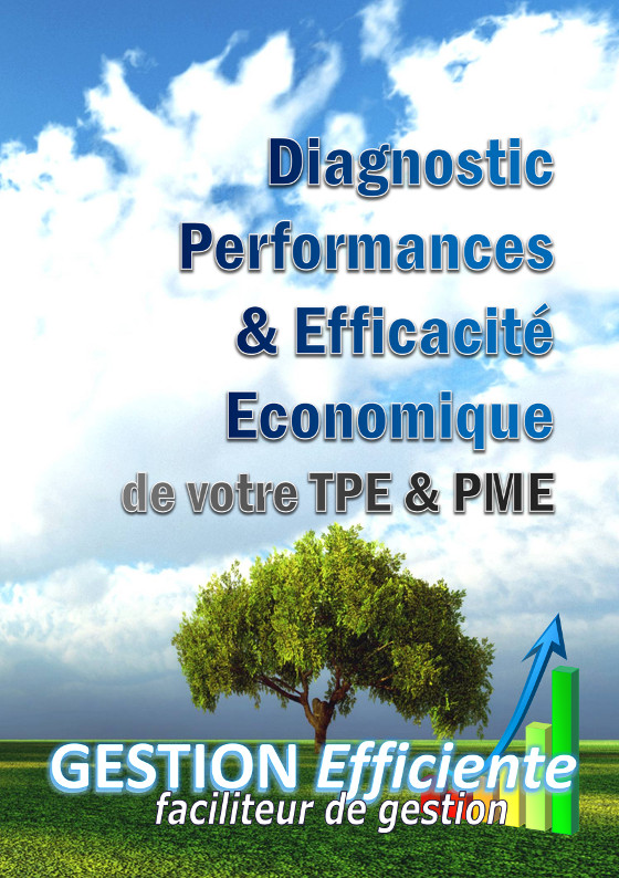 Diagnostic Performances et Efficacité Economique par Gestion Efficiente, Faciliteurs de Gestion en Ile de France et Région Centre