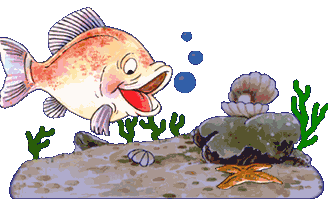 سْگِتشّات: أذا تبغى تروق وتهدي اعصابك اغتني حوض سمك تفرج على الاحواض والاسماك مزاااج